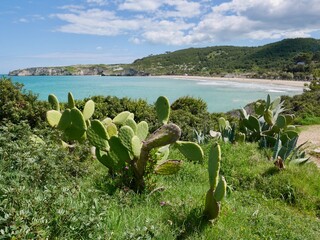Panoramic view of Spiagga Procinisco. Peschici, Puglia, Italy.