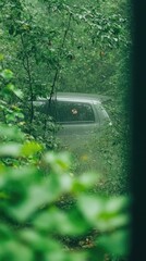 Car through lush greens, foliage, and branches in a misty setting, rain on the vehicle