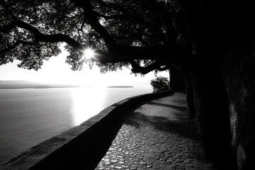 Lakeside view in black and white with cobblestone walkway and sunlit water