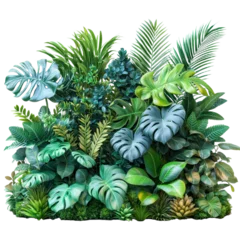 Wall murals Green bush foliage isolated on transparent background. PNG