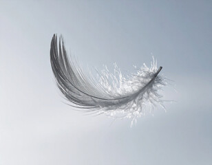 A single feather gently falling represents peace, release, and the lightness of letting go in the journey of mental wellness.