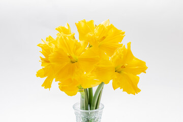 A vibrant bouquet of yellow daffodils stands elegantly in a glass vase, brightening up the space