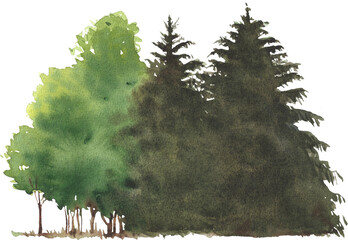 Hand Painted Watercolor Forest Tree Line