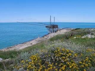 Panoramic view of Trabucco San Lorenzo, traditional wooden structure used for fishing in Southern Italy. Vieste, Puglia, Italy.
