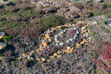 A creatively designed flower garden or meadow with a heart-shaped central gravel path, vibrant plants, and colorful flowers