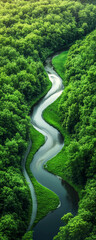 A winding river cuts through a lush, green forest, creating a stunning aerial view of nature's beauty.