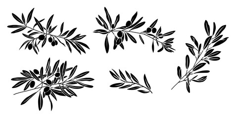 Fototapeta premium Set of olive branch black silhouettes with leaves and fruits. Vector botanical illustration isolated on transparent background. Perfect for packaging, logos, labels, and natural designs