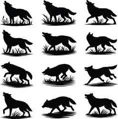 Collection of wolf silhouettes in various poses howling walking and standing on grass in black and white