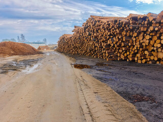 A stack of prepared coniferous timber.