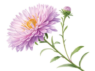 A beautiful pink flower in full bloom.