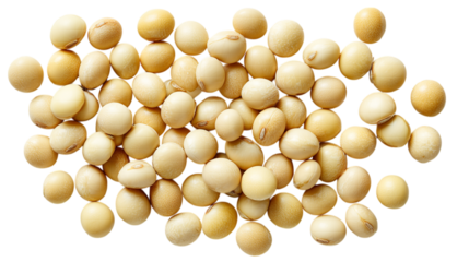 High angle view of many soybeans isolated on close up studio shot of soybeans healthy food concept pile vegan on transparent background