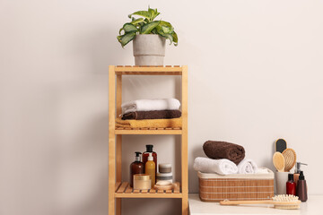 Different bathing products and houseplant near white wall in bathroom