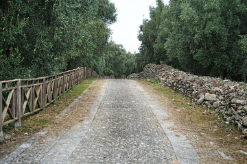 Road in the ruins of the old village of Oppido in Aspromonte, Calabria, Italy