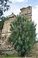 Ruins of an ancient castle in the abandoned medieval village of Oppido Vecchia in Aspromonte, Calabria, Italy.