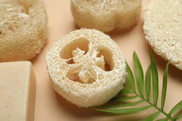 Natural loofah sponges, soap and green twig on beige background, closeup