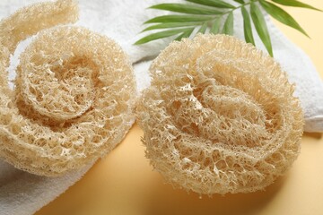 Natural loofah sponges, towel and green twig on beige background, closeup