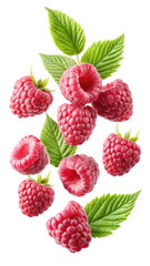 flying red raspberry isolated on transparent white background, clipping path