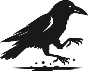 Bird vector silhouette of a crow
