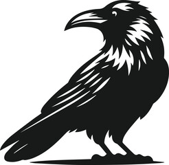Bird vector silhouette of a crow