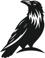 Bird vector silhouette of a crow