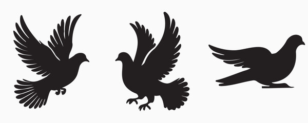 Obraz premium Set of three dove silhouettes in various flying and perching poses, symbolizing peace, freedom, and spirituality—perfect for logos, tattoos, or decorative designs.