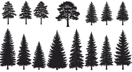 Fototapeta premium Forest Silhouettes AI Generated
