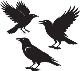 Fototapeta premium Vector silhouette of flying birds including an eagle, raven, crow, and dove, symbolizing freedom and wildlife with wings spread wide in a nature-inspired design