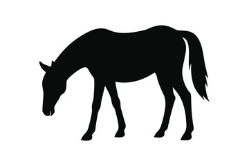 Racehorse Silhouette  Vector bundle  illustration, Racehorse Silhouette 