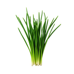 A bunch of green grass