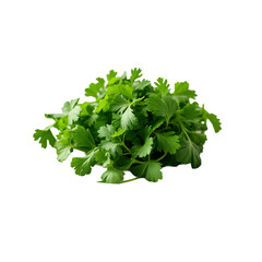Fototapeta premium A bunch of green parsley leaves