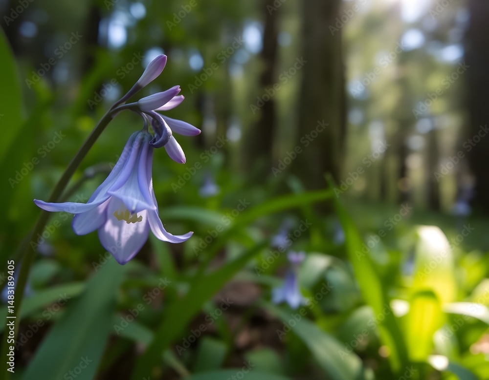 Poster bluebell beauty. a close up captures the delicate details of a vibrant bluebell flower, surrounded b