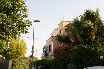 Picturesque residential street scene featuring a charming house surrounded by vibrant plants and...