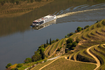 UNESCO World Heritage, a Cruise in  Douro River, Vineyards Valley in Sao Joao da Pesqueira, Viseu, Portugal.