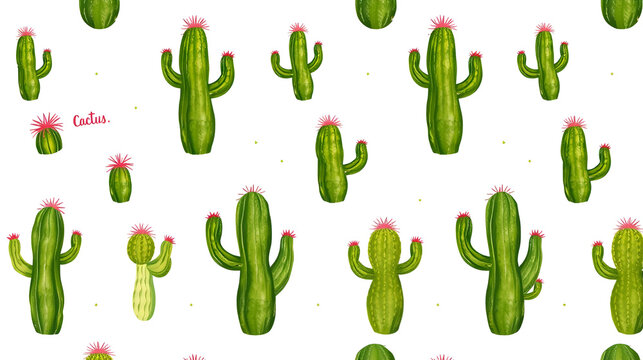 seamless pattern vector cactus exotic pricky childish funny plant on white word for design paper textil