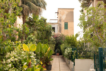 Picturesque walkway through a vibrant garden, featuring diverse plants and a charming historic...