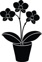 Silhouette vector of potted orchid flower plant.