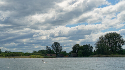 Schwanensee