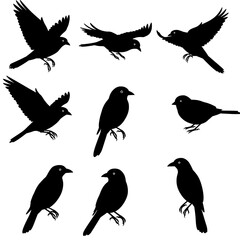 Fototapeta premium Silhouette Symphony: Avian Flight AI Generated