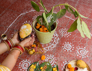 Woman’s Hand with mehndi and colorful bangles offering a ripe yellow mango to a sacred banyan...