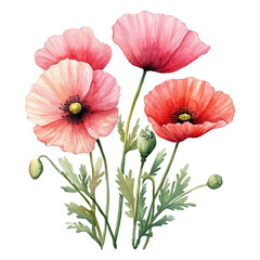 Obraz premium poppy, flower, watercolor, clipart, floral, botanical, red, orange, pink, wildflower, summer, spring, nature, bloom, garden, hand-painted, artistic