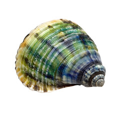 Fototapeta premium A captivating spiral seashell with green and blue hues, presented on isolate background