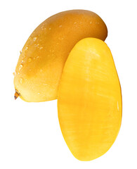 Single ripe yellow mango fruit with half and water droplets in stack isolated with clipping path in png file format