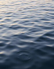 Gentle waves shimmer and dance., silhouette. with white shades