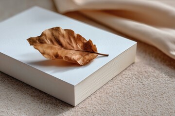 Autumn Still Life:  A dried leaf rests on a crisp, white block, conveying a sense of natural beauty and quiet contemplation.