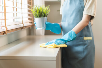 Cleanliness household asian young woman wear apron and glove working chore cleaning on cupboard at...