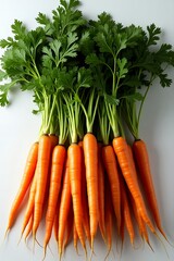 Fresh Organic Carrots Bunch with Green Tops Healthy Vegetable Harvest Farm to Table