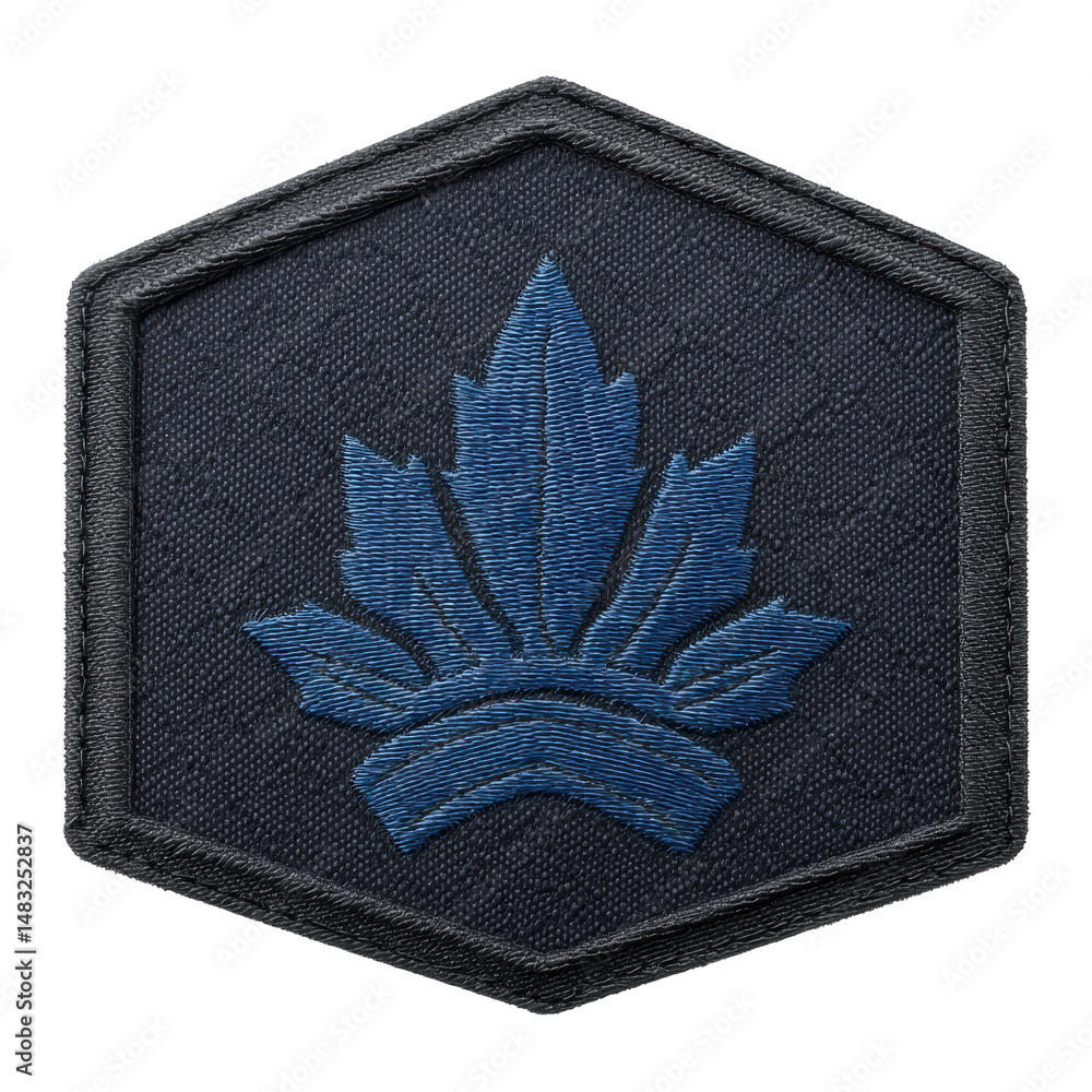Poster this shows hexagonal embroidered patch featuring stylized blue leaf design on transparency backgroun