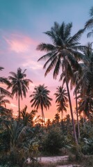 Palm trees sunset in tropical forest