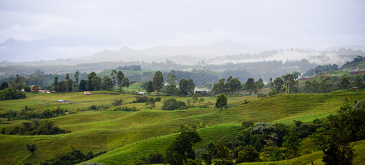 lush green hills and misty mountains under overcast sky near Filandia, Quindío, Quindio. peaceful rural morning landscape in Colombia