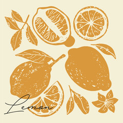 Vintage hand-drawn lemon set in black and white. Elegant botanical illustration of lemon fruits, flowers, leaves. Textured woodcut art with vintage engraving aesthetics.